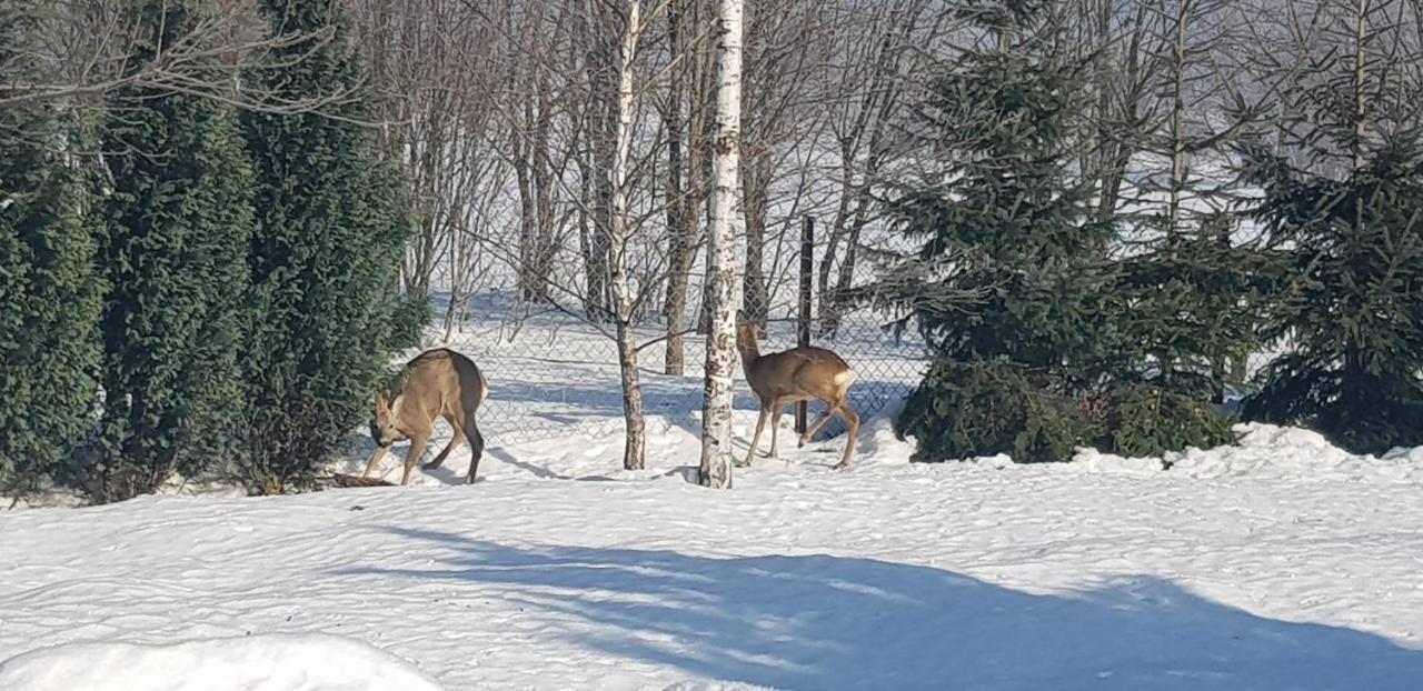 Dom Grabowa Z Sauna I Podgrzewanym Basenem Villa Gilowice  Exteriör bild