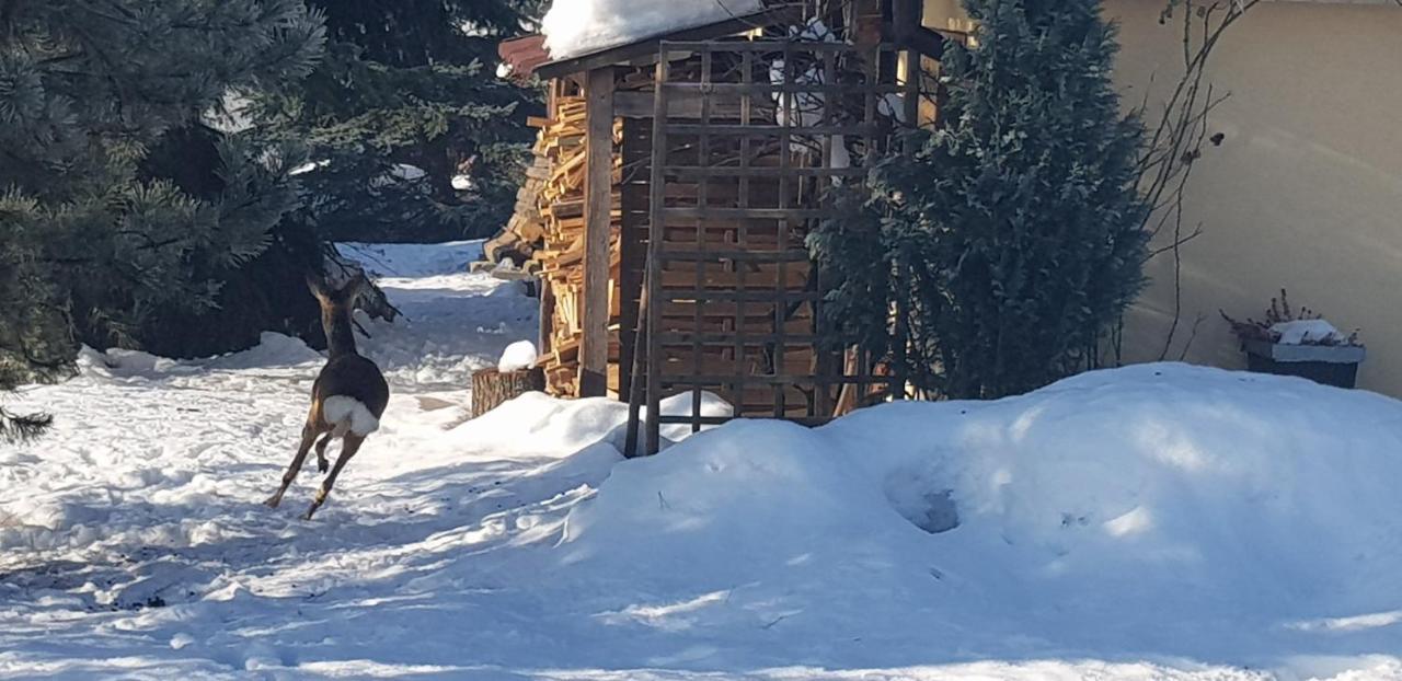 Dom Grabowa Z Sauna I Podgrzewanym Basenem Villa Gilowice  Exteriör bild